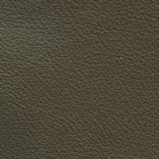 Reduced to Clear Leather Paint - Dark Beige