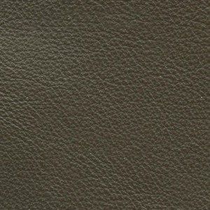 Reduced to Clear Leather Paint - Dark Beige