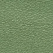 Reduced to Clear Leather Paint - Green