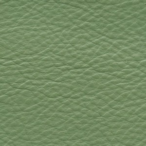 Reduced to Clear Leather Paint - Green