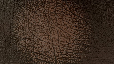 Leather Colour Sprays - Translucent